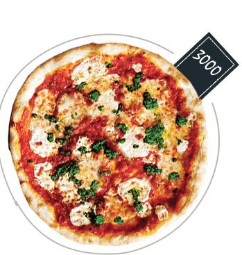 mr pizza-03