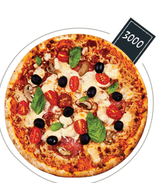 mr pizza-04